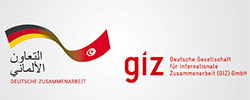 logo_giz Site_Français